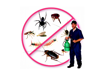 Pest Control Service